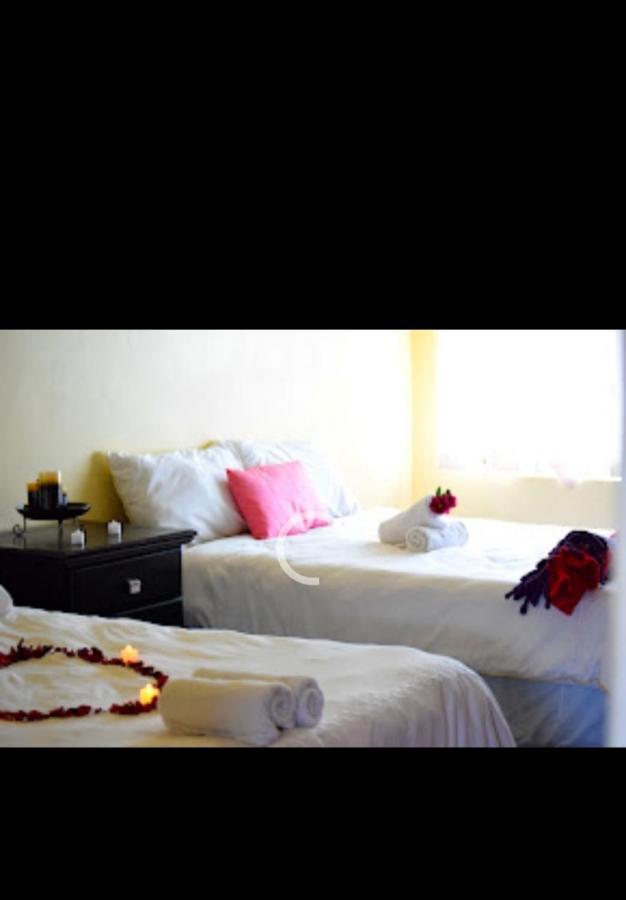 Falcon Lodge Newcastle Bagian luar foto