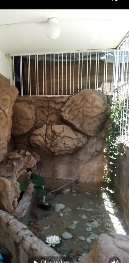 Falcon Lodge Newcastle Bagian luar foto