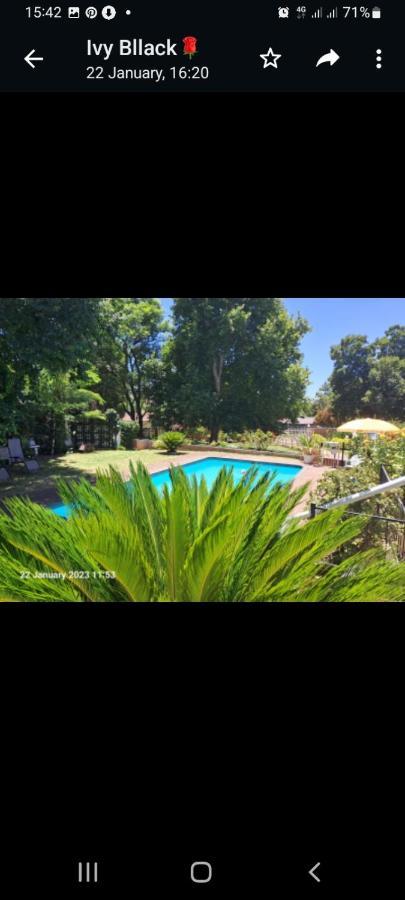Falcon Lodge Newcastle Bagian luar foto