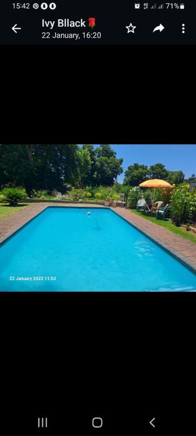 Falcon Lodge Newcastle Bagian luar foto